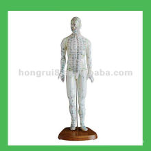 Chinese Human Acupuncture Model ,18" Man Body Model